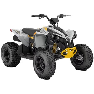 2025 Can-Am Renegade 110 EFI