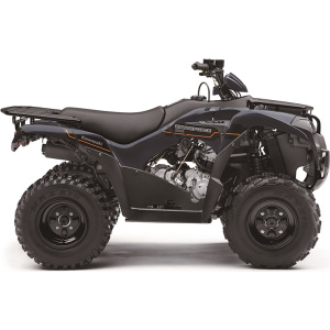 2025 Kawasaki Brute Force 300