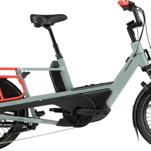 2024 Cannondale Cargowagen Neo Electric Bike