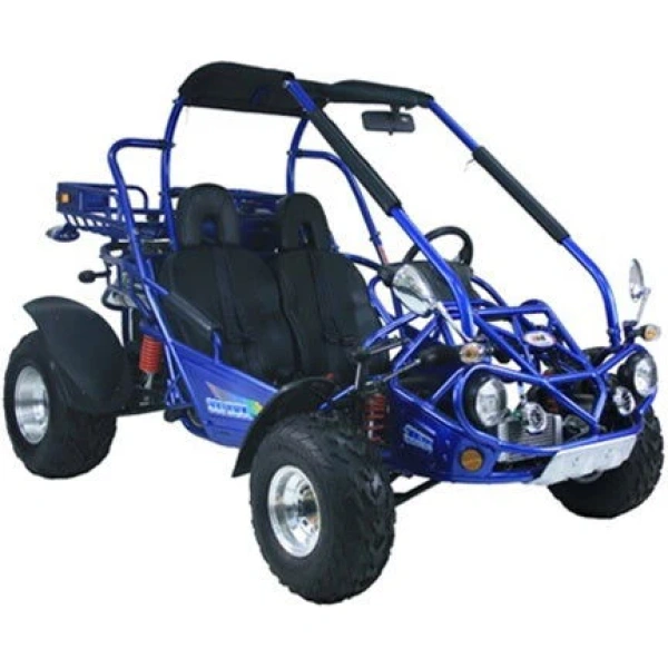 TrailMaster 300 XRX-E Dune Buggy Go Kart, EFI Fuel Injected, Liquid Cooled, Shaft Drive, Alloy Wheels