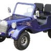GR-5 Mini Jeep Roadster Go Kart Semi-Automatic