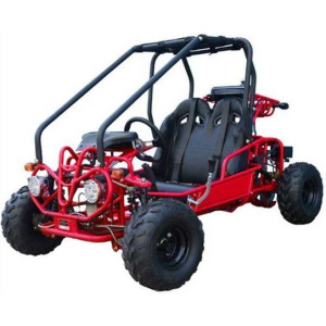 Mini Raptor 125cc Kids Gas Go Kart Electric Start