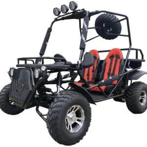 Rancher 200DLX Buggy Go Kart Electric Start
