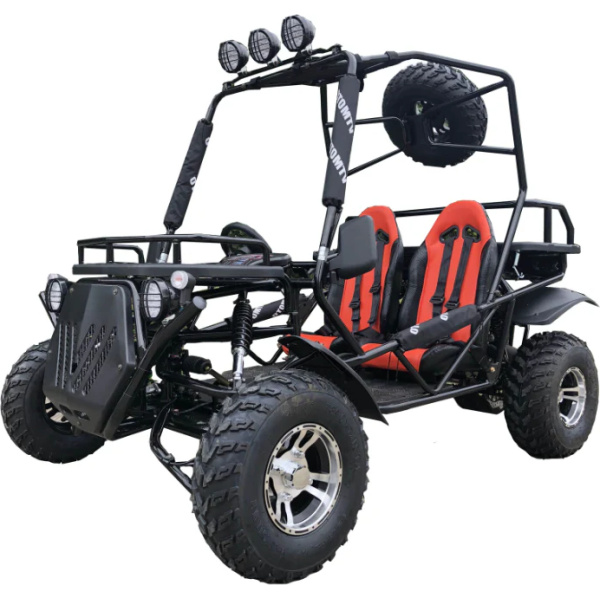 Rancher 200DLX Buggy Go Kart Electric Start