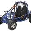 Spider 200 DLX Buggy Go Kart Electric Start