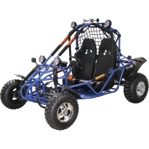Spider 200 DLX Buggy Go Kart Electric Start