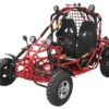 Spider 300 DLX EFI Buggy Go Kart Electic Start