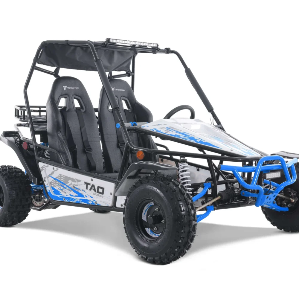 Tao Baja Sport 200 Adult Buggy Go Kart Electric Start