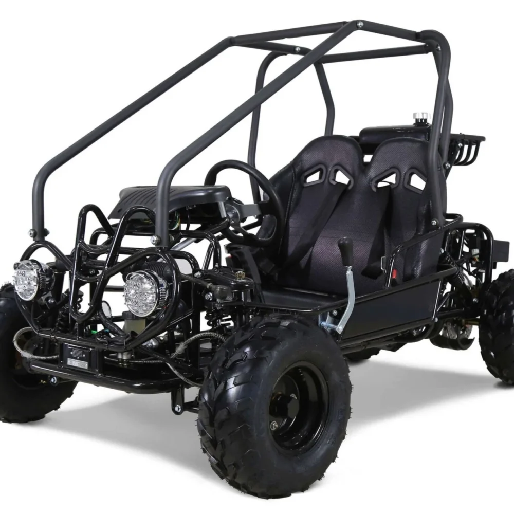 Tao GK110 Kids Gas Go Kart Electric Start