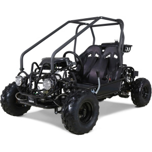 Tao GK110 Kids Gas Go Kart Electric Start