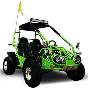 TrailMaster 200 XRX Deluxe Buggy Go Kart