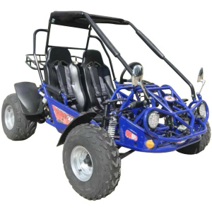 TrailMaster 200E XRS EFI Go Kart