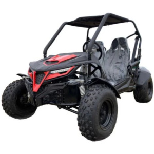 TrailMaster Cheetah 200 Full Size Buggy Go Kart