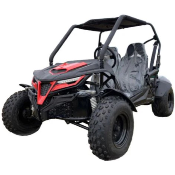 TrailMaster Cheetah 200 Full Size Buggy Go Kart