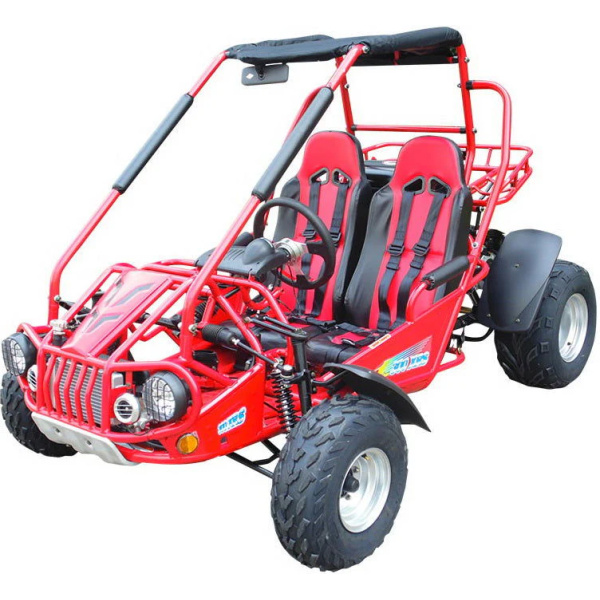 TrailMaster 300E XRS (EFI) Dune Buggy Go Kart