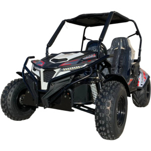 TrailMaster Cheetah 300E (Special) EFI UTV Go Kart
