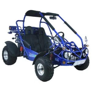 TrailMaster 300 XRX-E Dune Buggy Go Kart
