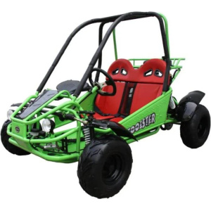 Twister 125cc Kids Gas Powered Go Kart Electric Start