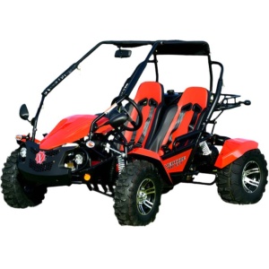 Venture 200 EFI Buggy Go Kart Electric Start