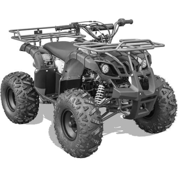 Bull Kids Gas Powered ATV, Electric Start 125cc 4-Stroke, Automatic with Reverse, Ages 12 and up