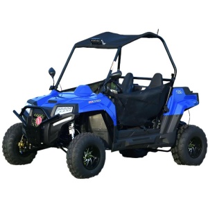 Blade 200U EFI UTV Side-by-Side, Electric Start, Automatic with Reverse, Ages 16 and up