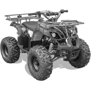 Bull Kids Gas Powered ATV, Electric Start 125cc 4-Stroke