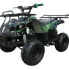Coolster 3125R 125cc Utility Style ATV, Electric Start