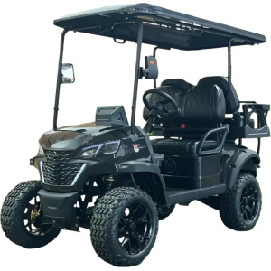 Dynamic GT4 Lithium Golf Cart, 48V AC 5KW Motor, 14-inch Aluminum Alloy Blackout Wheels