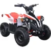 E-Bully Kids Electric ATV, 36v 1000w