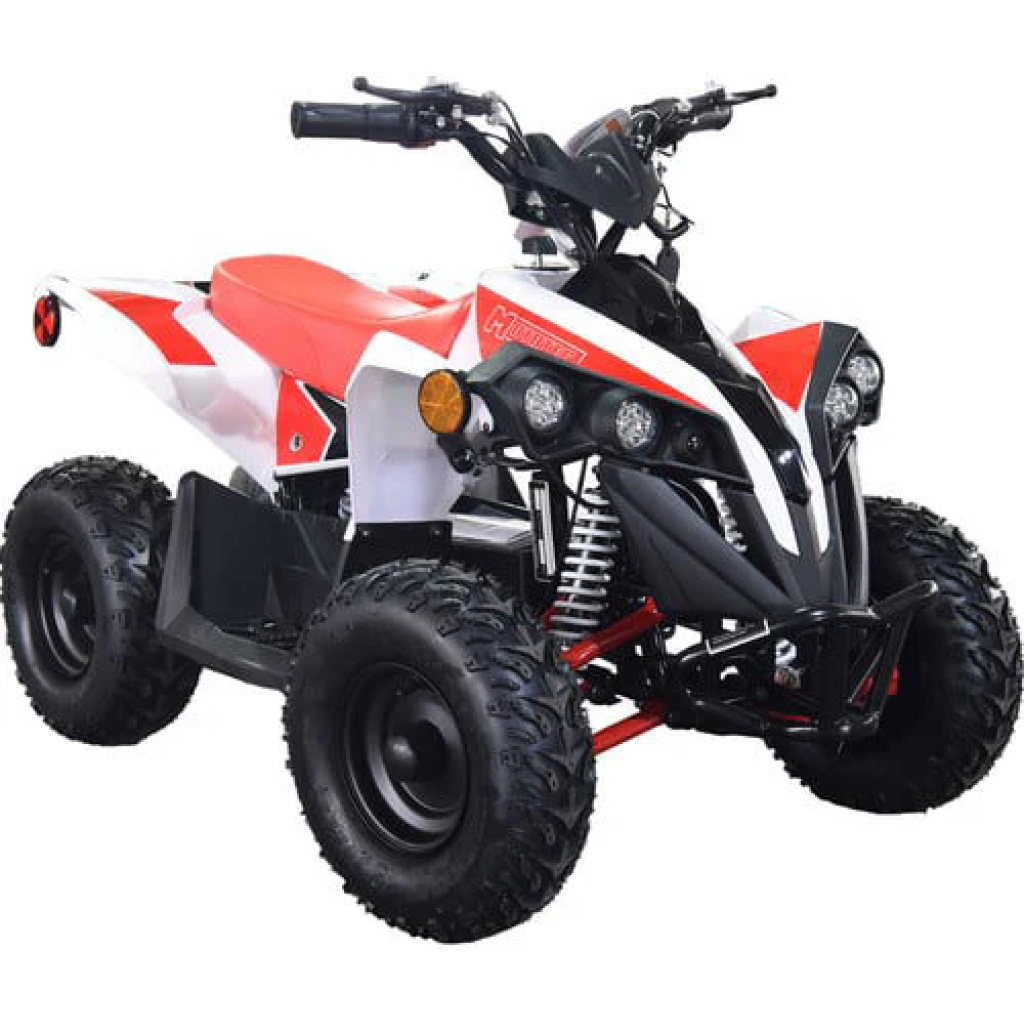 E-Bully Kids Electric ATV, 36v 1000w