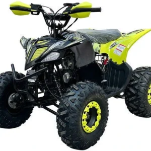 Pioneer 110cc Sport ATV, Automatic with Reverse