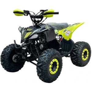 Pioneer 110cc Sport ATV, Automatic with Reverse