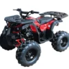 Rider 10 125cc Utility Style ATV, Auto with Reverse