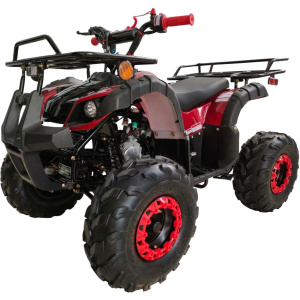 Rider 8 Utility 125cc ATV, Auto with Reverse