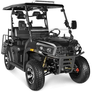 Rover 200 Gas Golf Cart, Electronic Fuel Injection, Automatic with Reverse, Deluxe Alloy Wheels, Windshield Included