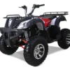 Tao Bull 200cc Utility ATV, Electric Start, Automatic