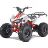 Tao Cheetah 125cc Sport ATV, Electric Start