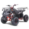 Tao Rancher 110cc Utility Style ATV, Electric Start