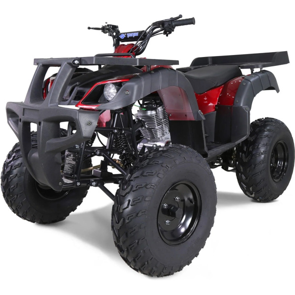 Tao Rhino 250cc Utility ATV, Electric Start