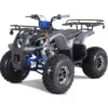 Tao T-Force Platinum 125cc Utility Style ATV, Electric Start