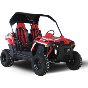 TrailMaster Challenger 300E (EFI) UTV Side-by-Side, Liquid Cooled