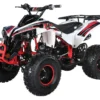 TrailMaster C125 125cc Sport ATV