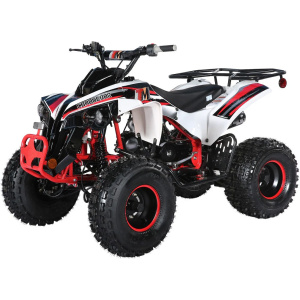 TrailMaster C125 125cc Sport ATV