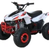 TrailMaster Mini Sport N110 ATV