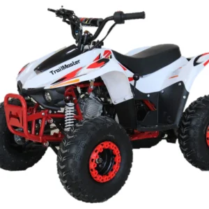 TrailMaster Mini Sport N110 ATV