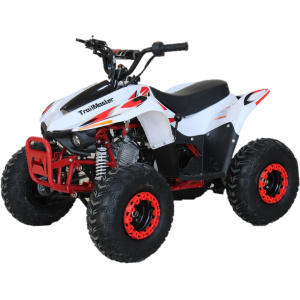 TrailMaster Mini Sport N110 ATV
