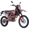 TrailMaster TM38EX 300 Dirt Bike 31 HP