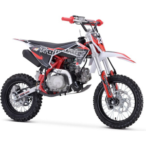 TrailMaster TM23 125cc Dirt Bike 4-Speed Auto