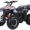TrailMaster XD 125UF 125cc Utility ATV