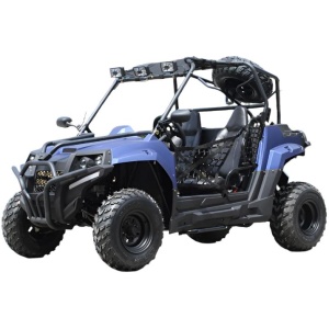 Victory 200 UTV Side-by-Side, Electric Start, Automatic with Reverse, Ages 16 and up